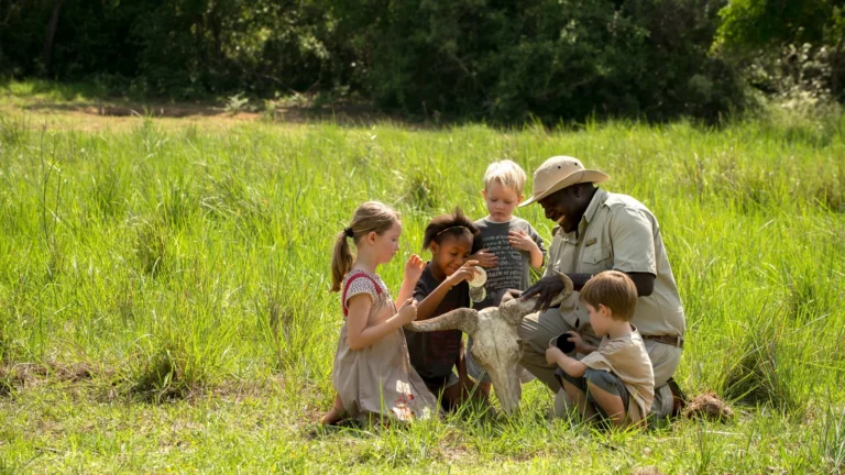 Family Safari in Tanzania: Is It Safe for Kids & Seniors?