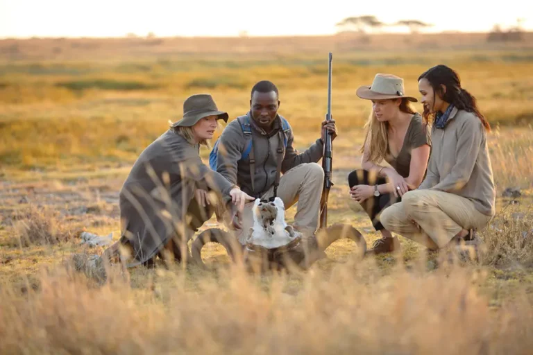 Safari Guides in Tanzania: Why Local Expertise Changes Everything