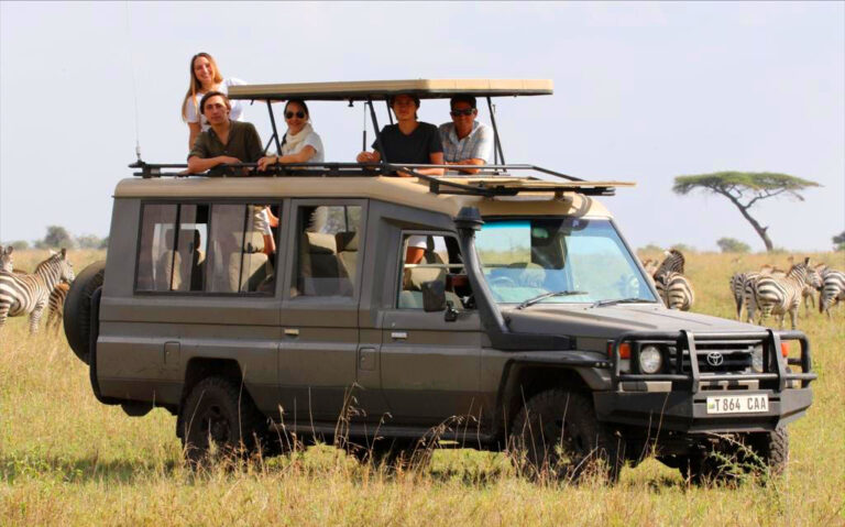 Safari Vehicles in Tanzania: Why the Right Vehicle Matters